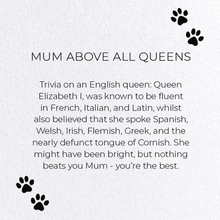 Load image into Gallery viewer, MUM ABOVE ALL QUEENS: Greeting Card
