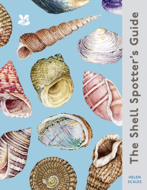 The Shell Spotter's Guide-9780008641313