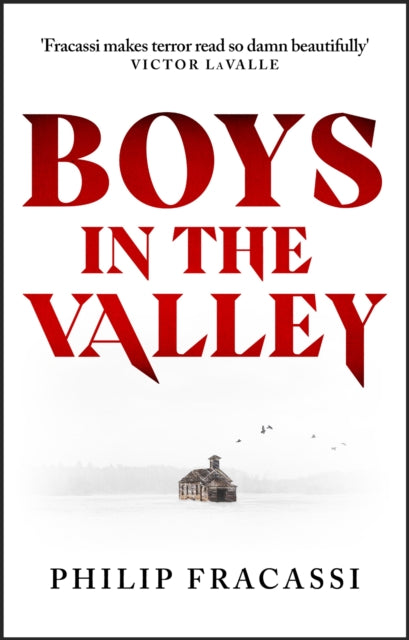 Boys in the Valley : THE TERRIFYING AND CHILLING FOLK HORROR MASTERPIECE-9780356520551