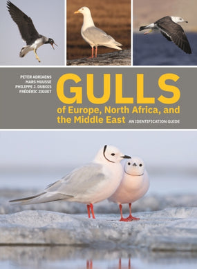 Gulls of Europe, North Africa, and the Middle East : An Identification Guide-9780691222837