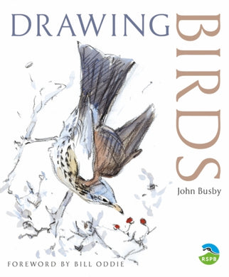 Drawing Birds-9780713668162