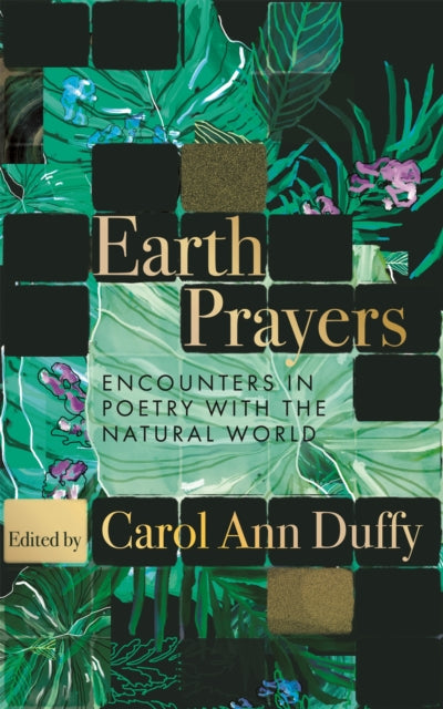 Earth Prayers : Encounters in Poetry with the Natural World-9781035048144