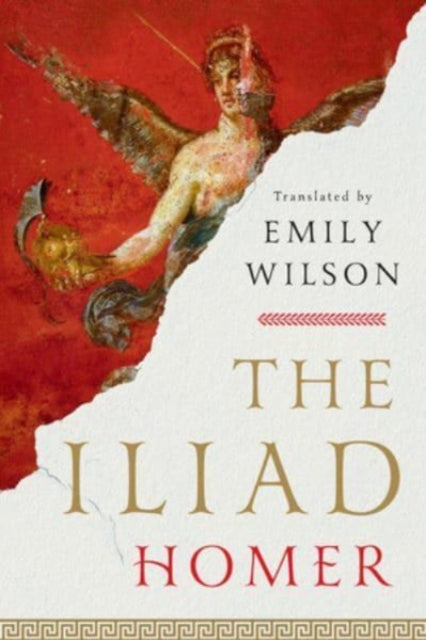 The Iliad-9781324076148