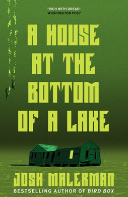 A House at the Bottom of a Lake-9781398711594