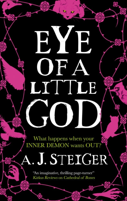 Eye of a Little God-9781448314324