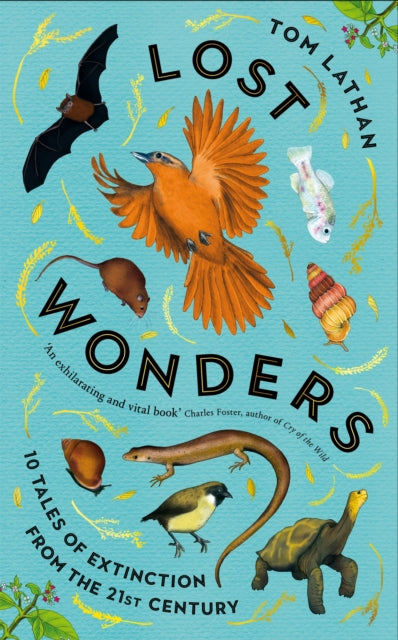 Lost Wonders : 10 Tales of Extinction from the 21st Century-9781529047929