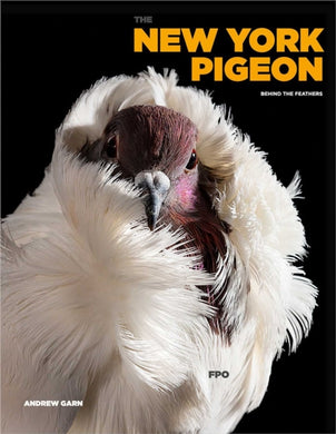 The New York Pigeon-9781648230745