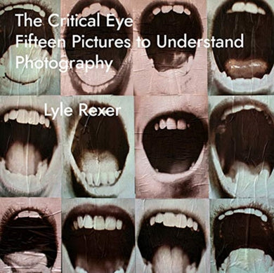 The Critical Eye : Fifteen Pictures to Understand Photography-9781783209842