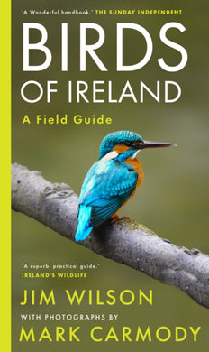 Birds of Ireland-9781804580721