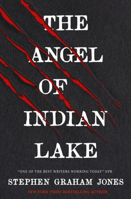 The Angel of Indian Lake-9781835410264