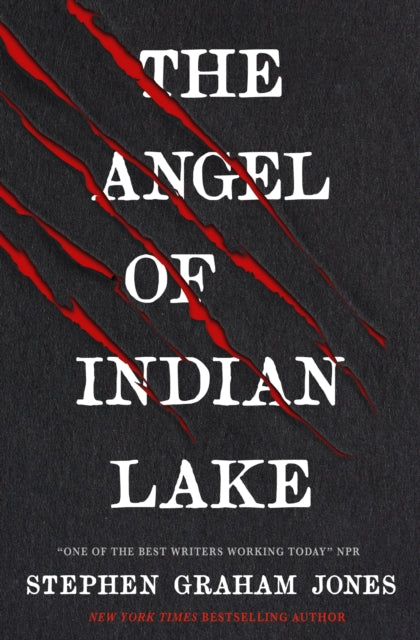 The Angel of Indian Lake-9781835410264