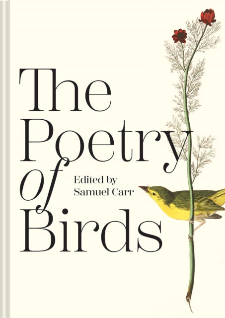 The Poetry of Birds-9781849948357