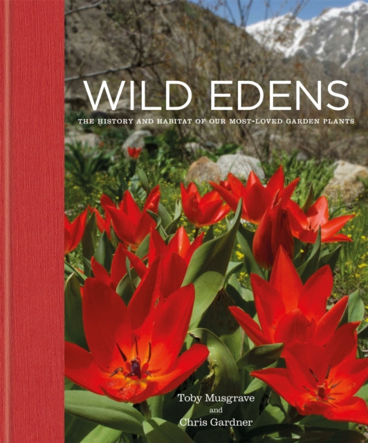 Wild Edens : The History and Habitat of our Most-Loved Garden Plants-9781914239250