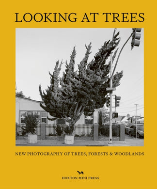 Looking At Trees : New Photography of Trees, Forests & Woodlands-9781914314407