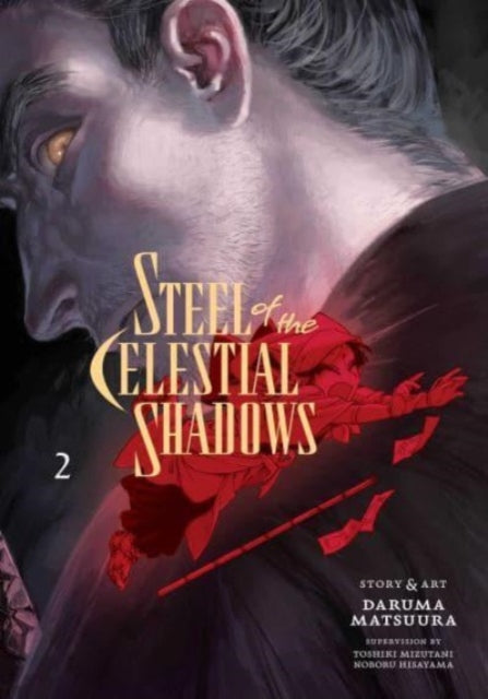 Steel of the Celestial Shadows, Vol. 2 : 2-9781974743476