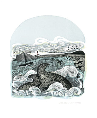 Seals at Bardsey Blank Greeting Card