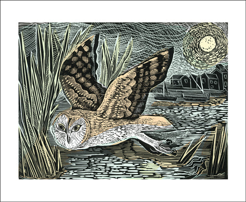 Marsh Owl Blank Greeting Card by Angela Harding