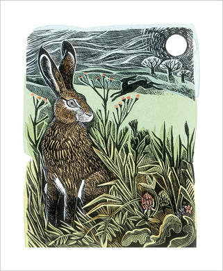 Hidden Hares Blank Greeting Card by Angela Harding