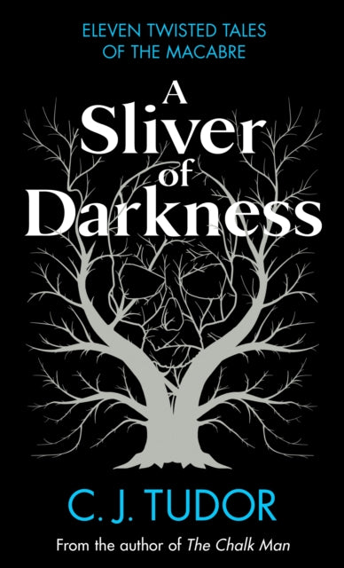 A Sliver of Darkness-9780241582633