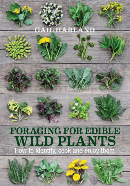Foraging for Edible Wild Plants : How to Identify, Cook and Enjoy Them-9780857845511