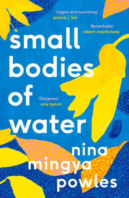 Small Bodies of Water-9781838852184