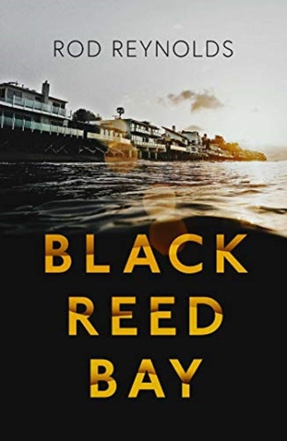 Black Reed Bay : The MUST-READ thriller of 2021... first in a heart-pounding new series : 1-9781913193676
